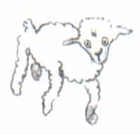 xwz08