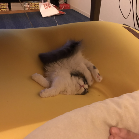 Deep Sleep