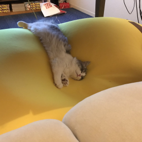 Deep Sleep
