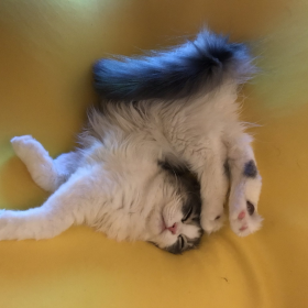 Deep Sleep