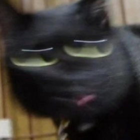 新版神经猫