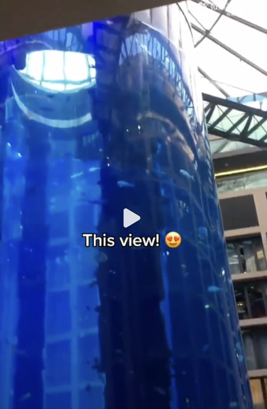世上最大圆柱体水族馆破裂鱼涌入街头