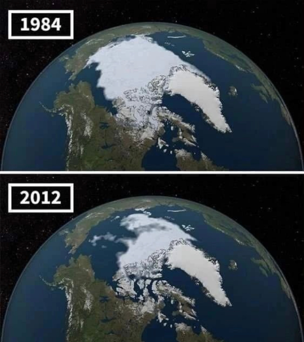 再过20年地球会变成