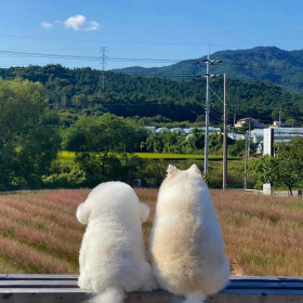 今天の心情 就让微笑