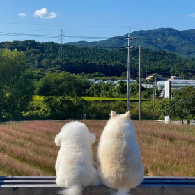 今天の心情 就让微笑